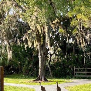 Meet your Posher, Xiao